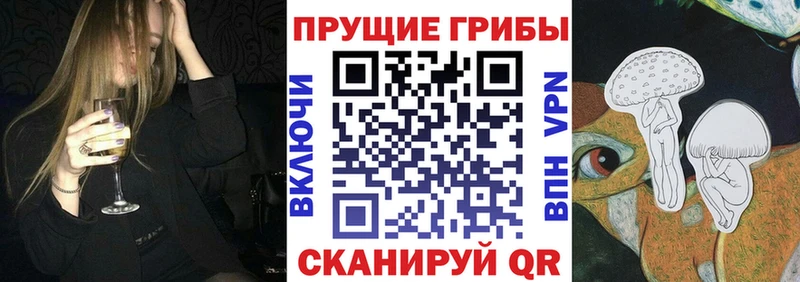 KRAKEN   Мытищи  Псилоцибиновые грибы GOLDEN TEACHER 